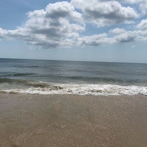 Meet your Posher, Abigail